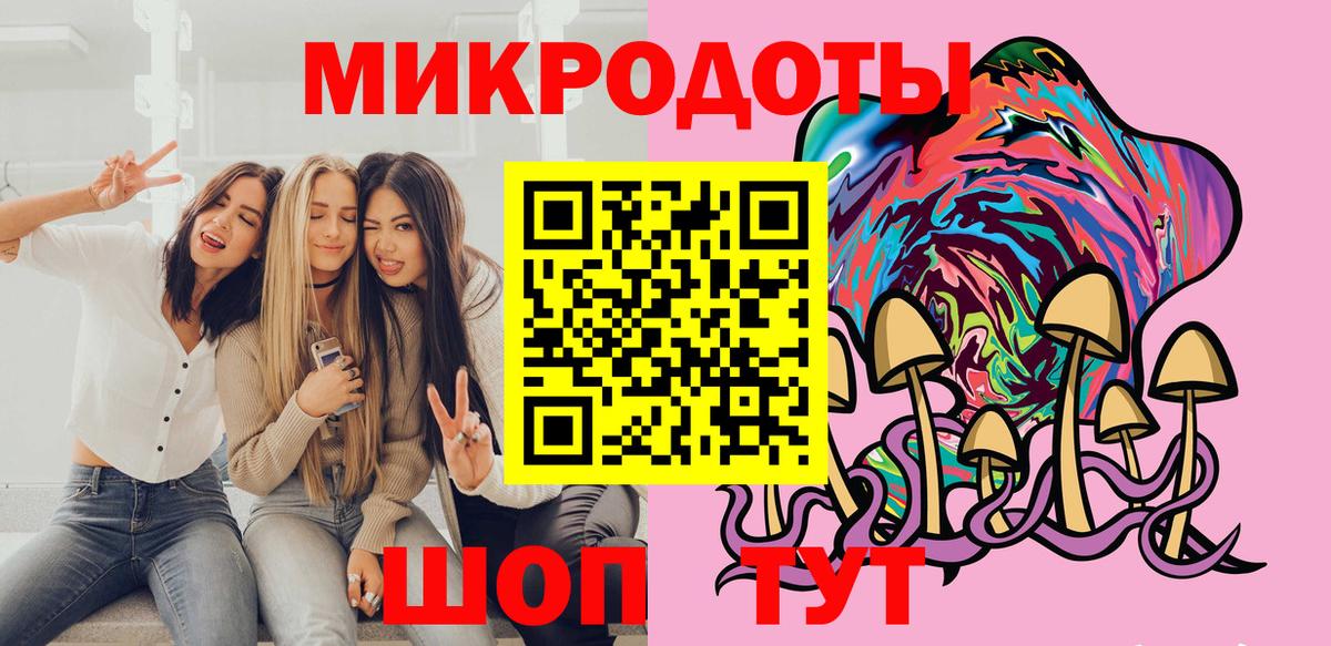 Галлюциногенные грибы Psilocybe Новочебоксарск