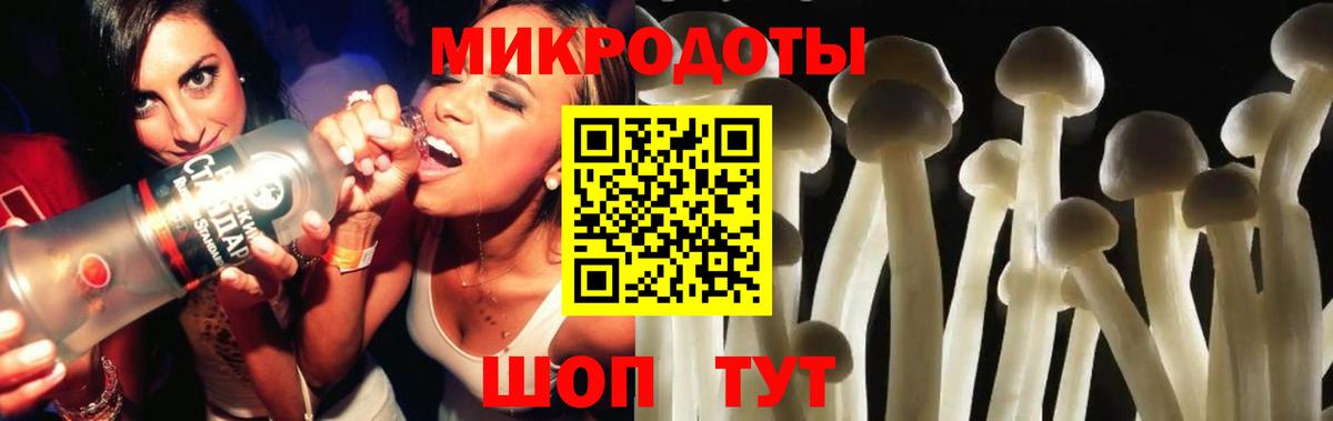Псилоцибиновые грибы Psilocybe  Вход с VPN  Новочебоксарск  Галлюциногенные грибы мицелий 